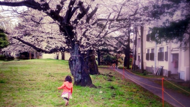 阿佐ヶ谷住宅　for　IG